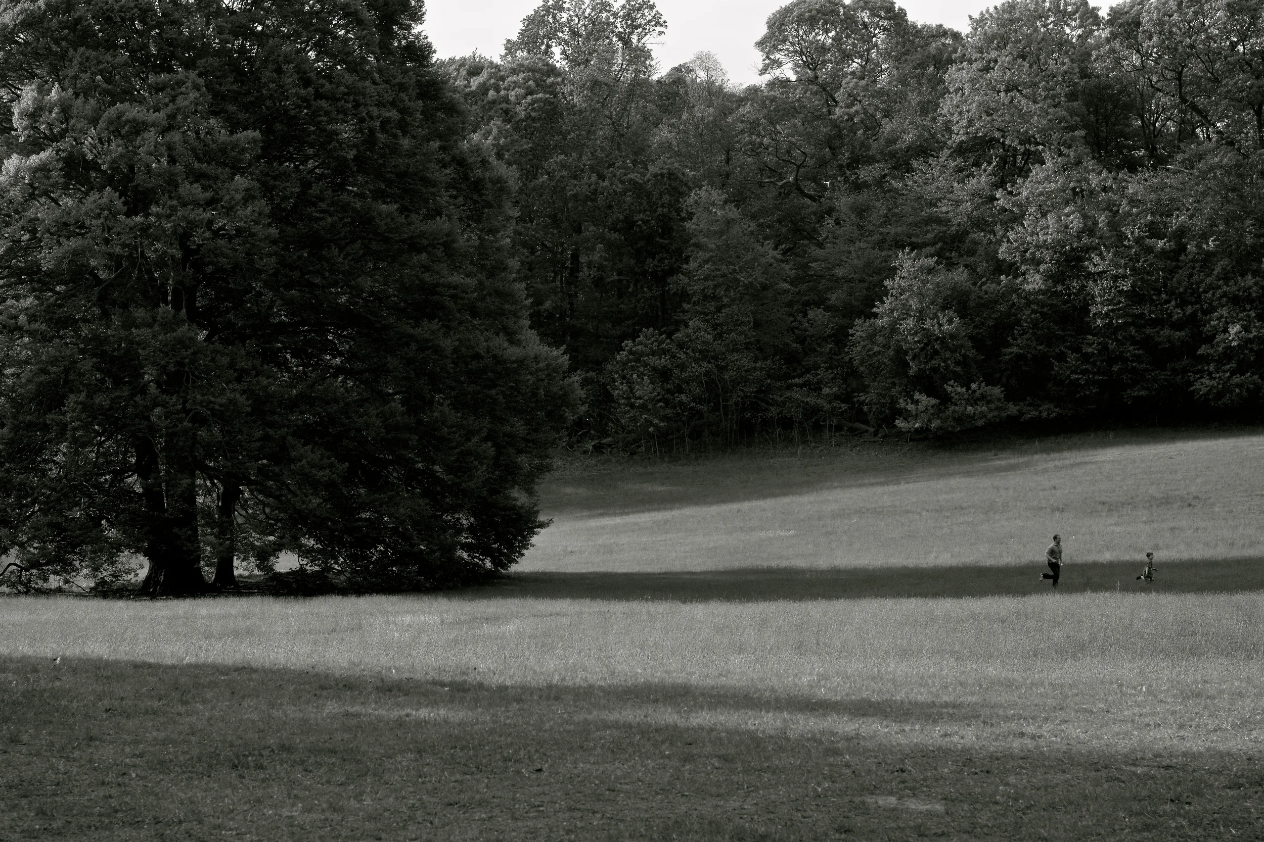 DSC_2103 - Version 2.JPG