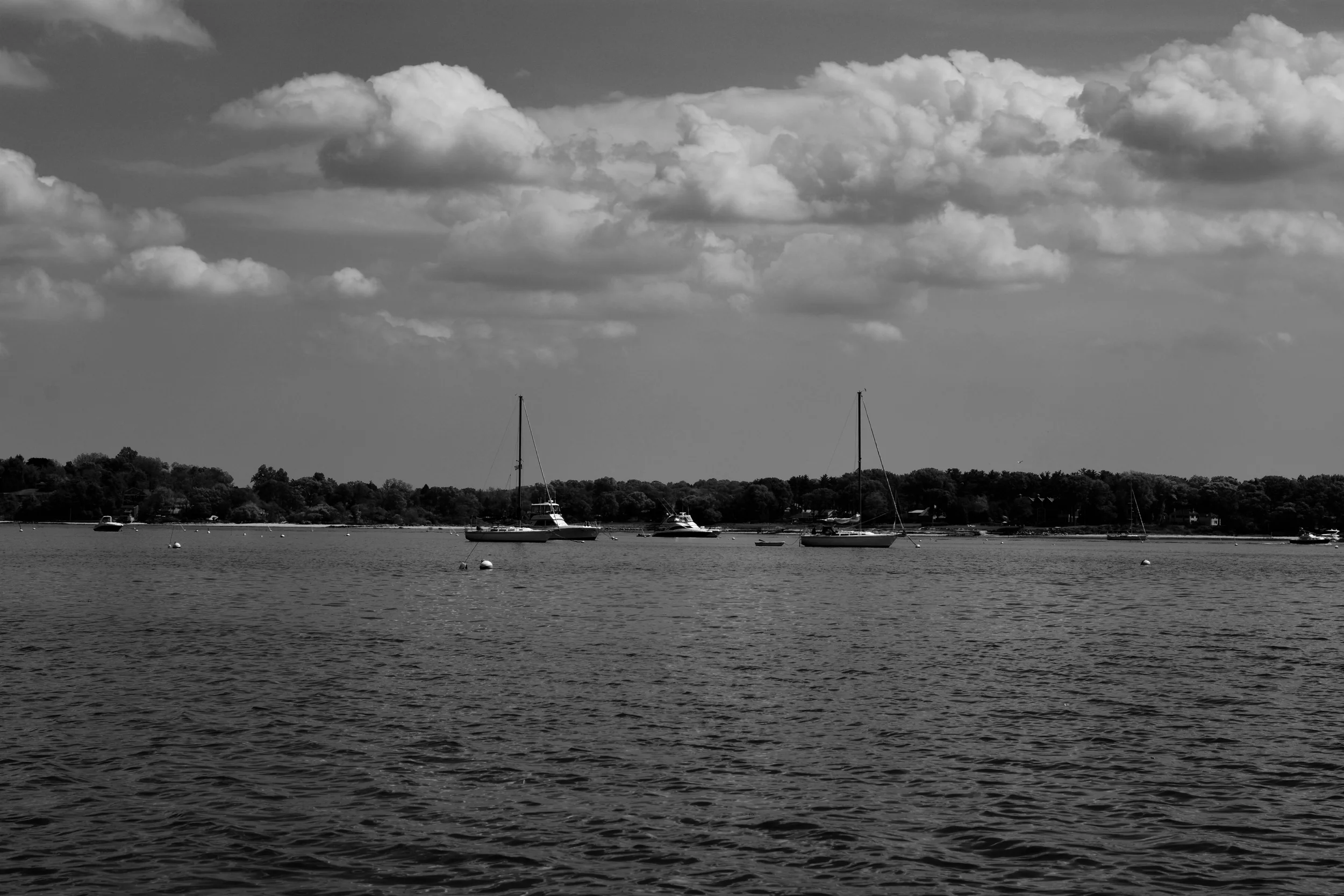 DSC_2567.jpg