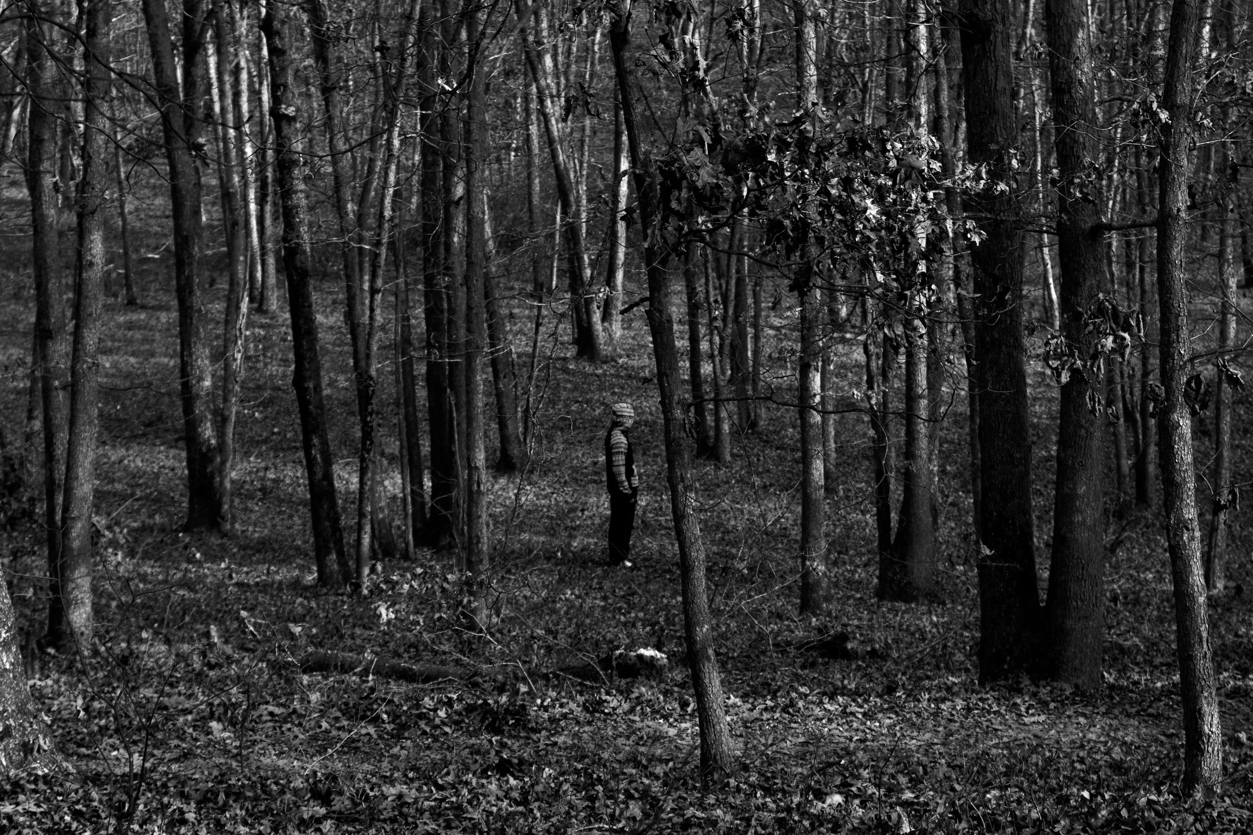 DSC_6225.jpg