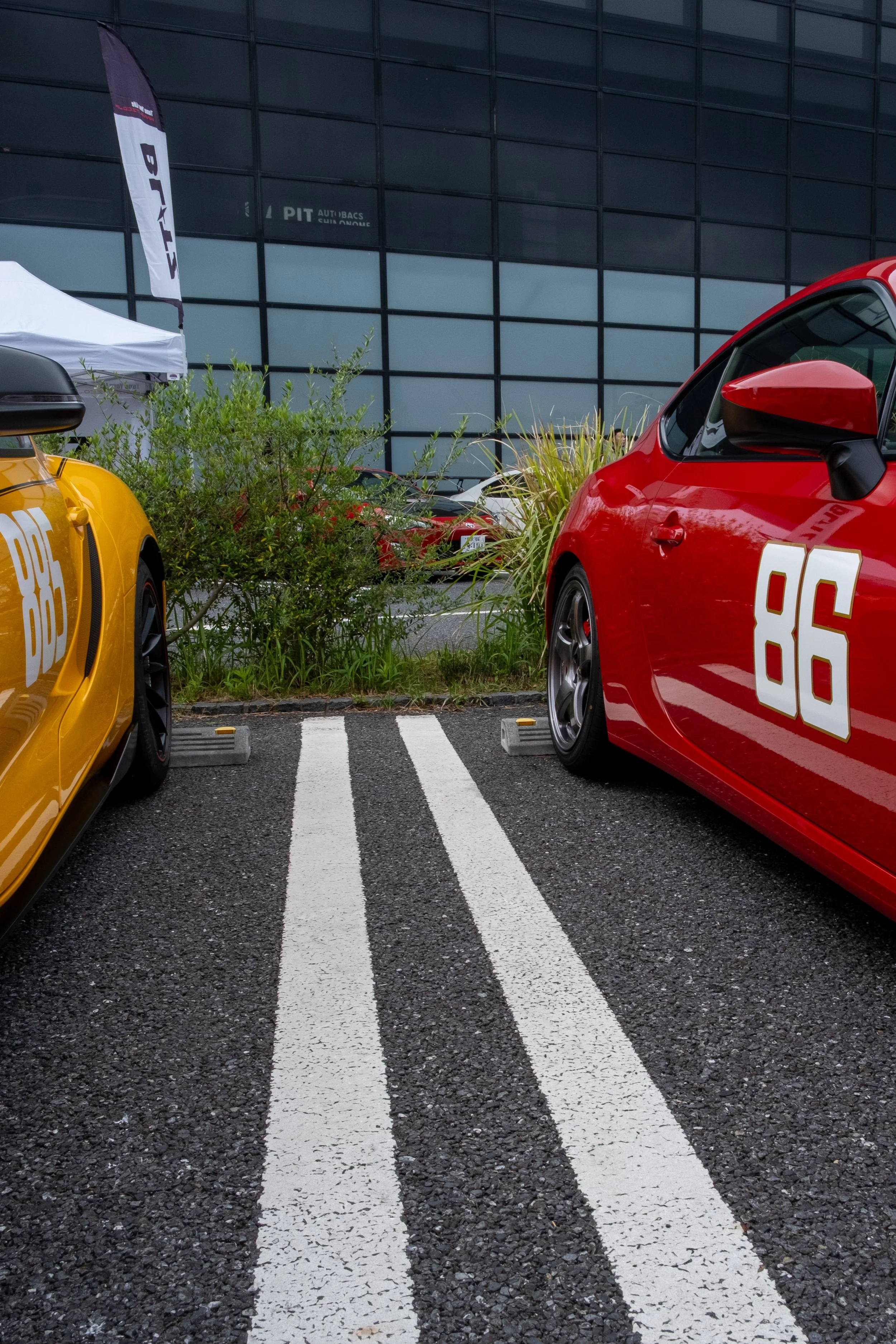 DSCF5923-1.JPG