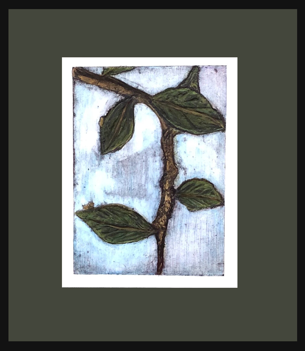    “Branches and Leaves”    Did you ever climb  up into a tree and just watch life go by through the branches and leaves? Wonderful   Collagraph, 14.75 x 17 inches   1/1   $250  