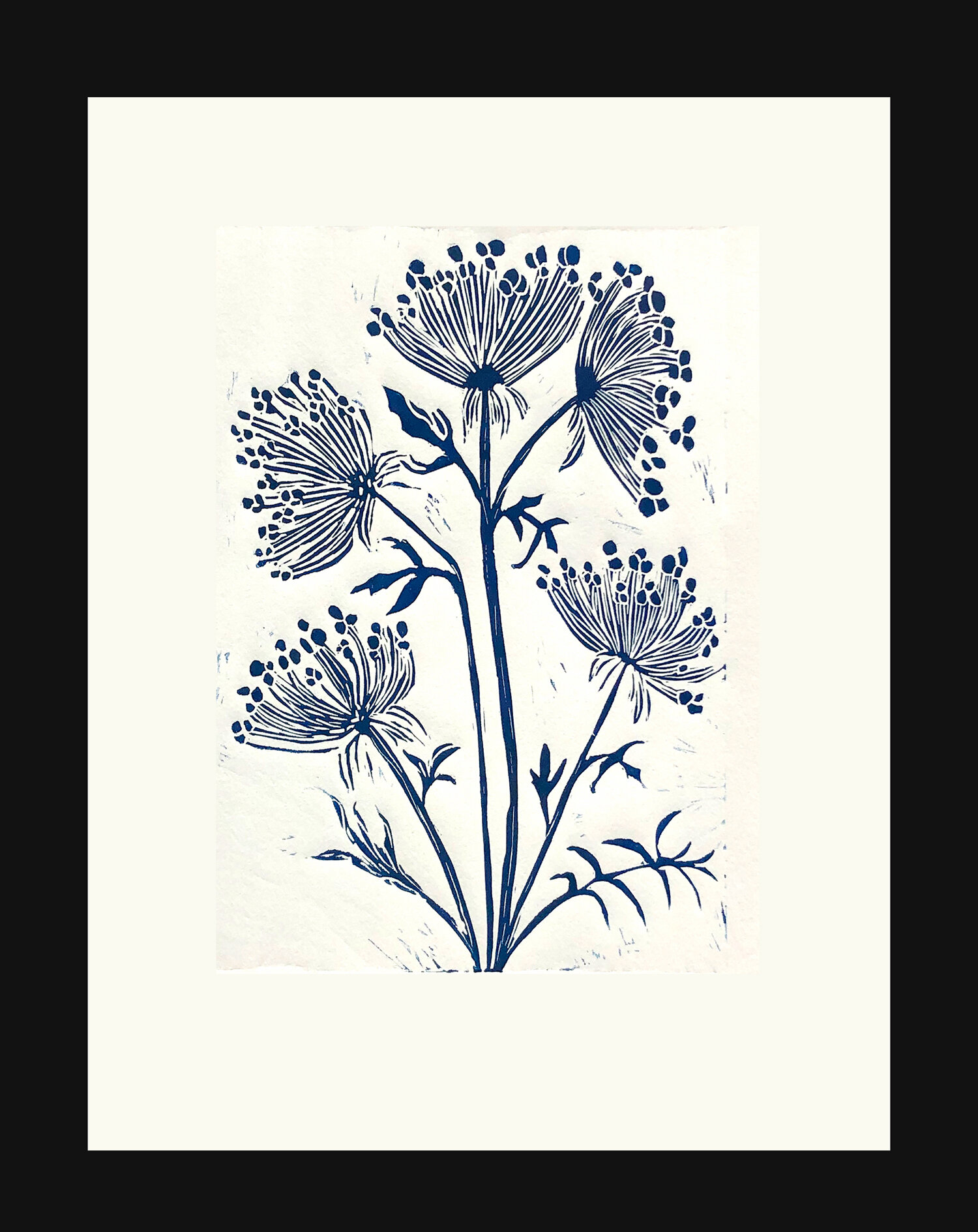    Bishop’s Lace   Also referred to as Wild Carrot, Queen Anne’s Lace or Bird’s Nest. Bishop’s Lace represents sanctuary. Linocut, Edition of 5, Framed, 19 x15   $135  
