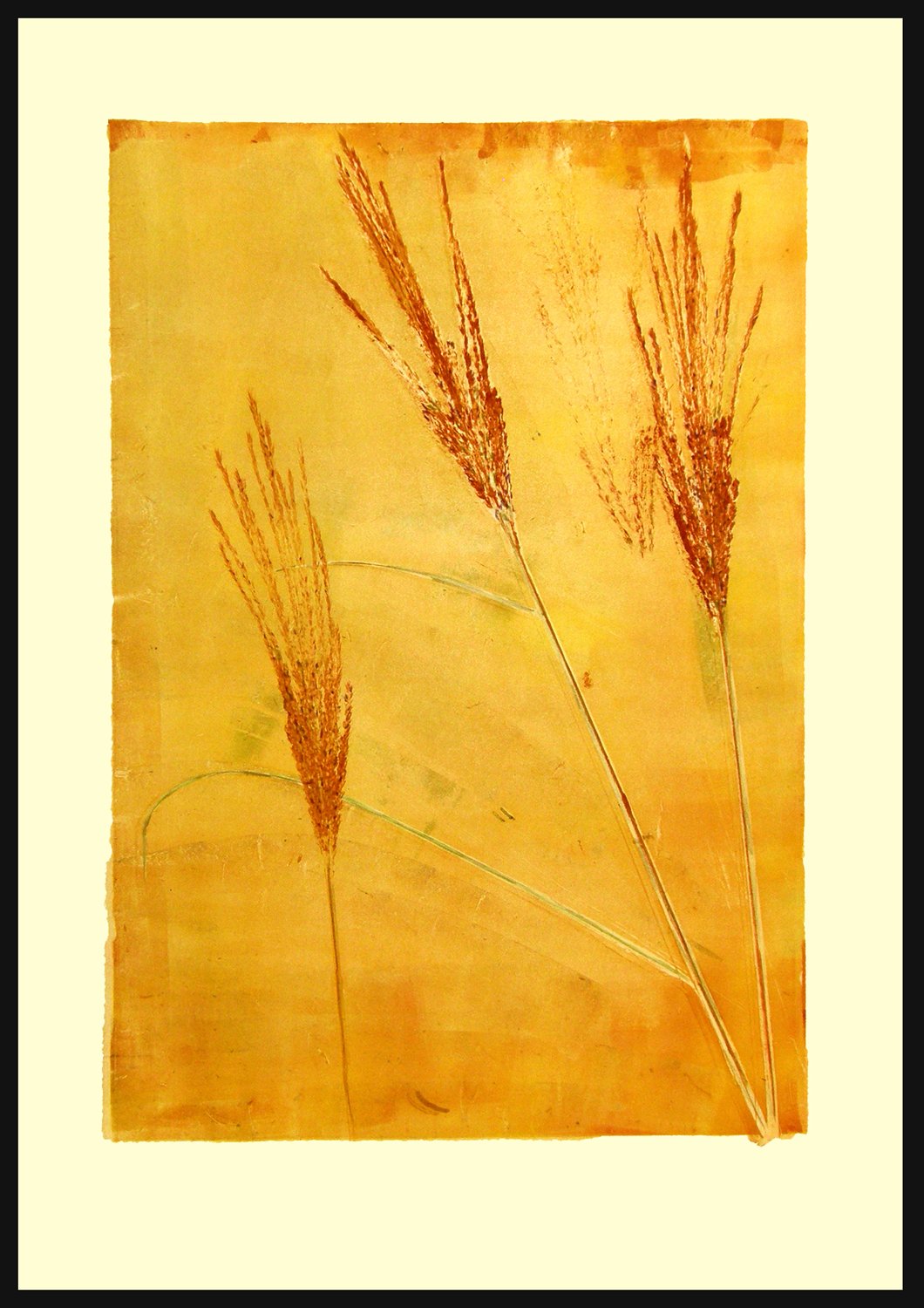  Inspired by the reeds dancing in the wind.   Wind Dancer    is enclosed and matted in a warm brown frame @ 29 x 23” Monotype 1/1   $485 - SOLD  