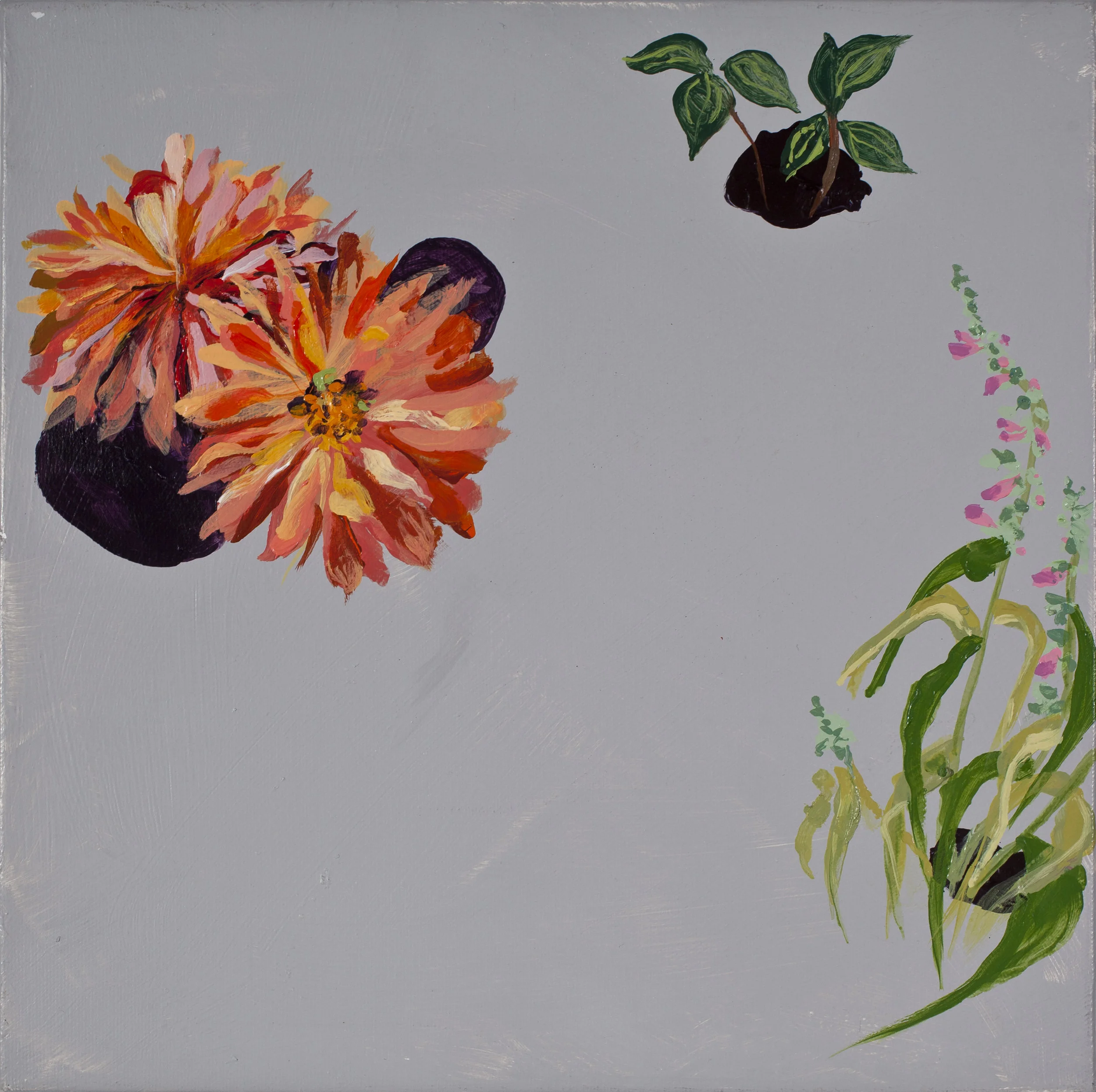 Fire Dahlia Fall 2016 Acrylic on canvas 12"x12" Photo credit: David Johnson