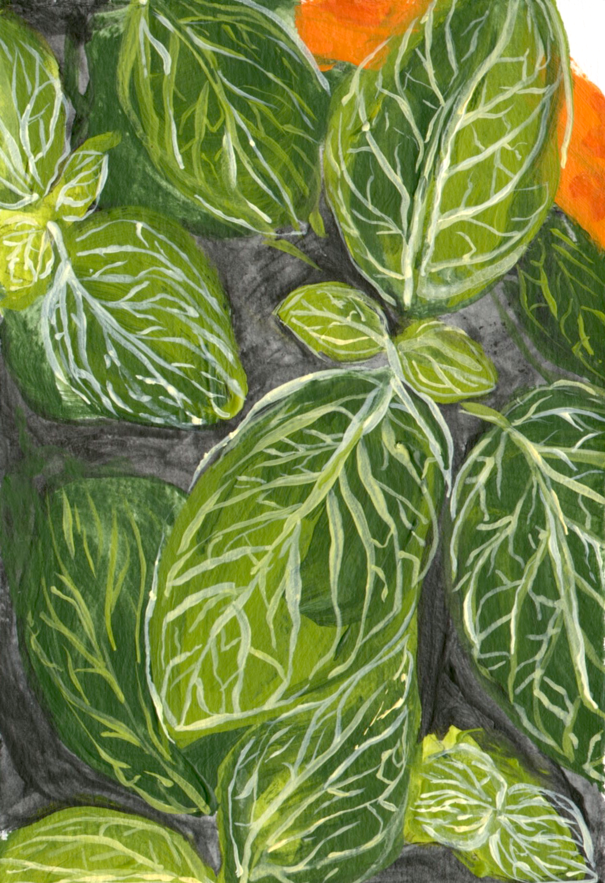 Plants in Orange November 2014 Acrylic on paper 4”x 6”
