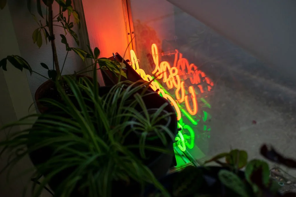  Coral Green Reception Saturday, April 13, 2024   Life Within Shadow, 2nd Iteration,  Sukanya Mani   Black Hole Avoidance Protocol,  Janice Wallace   Photo credit: Carly Ann Faye 