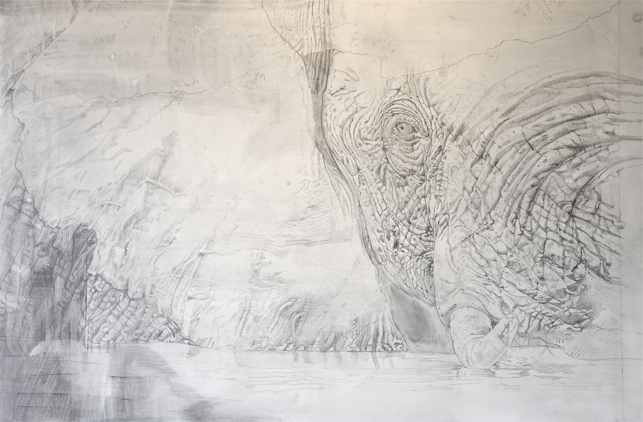 #Elephant Drwg3.28.15.jpg