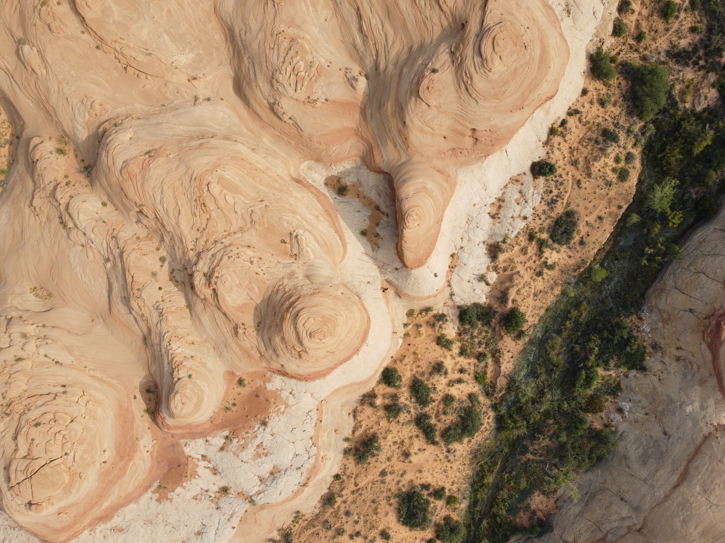 DJI_0175.JPG