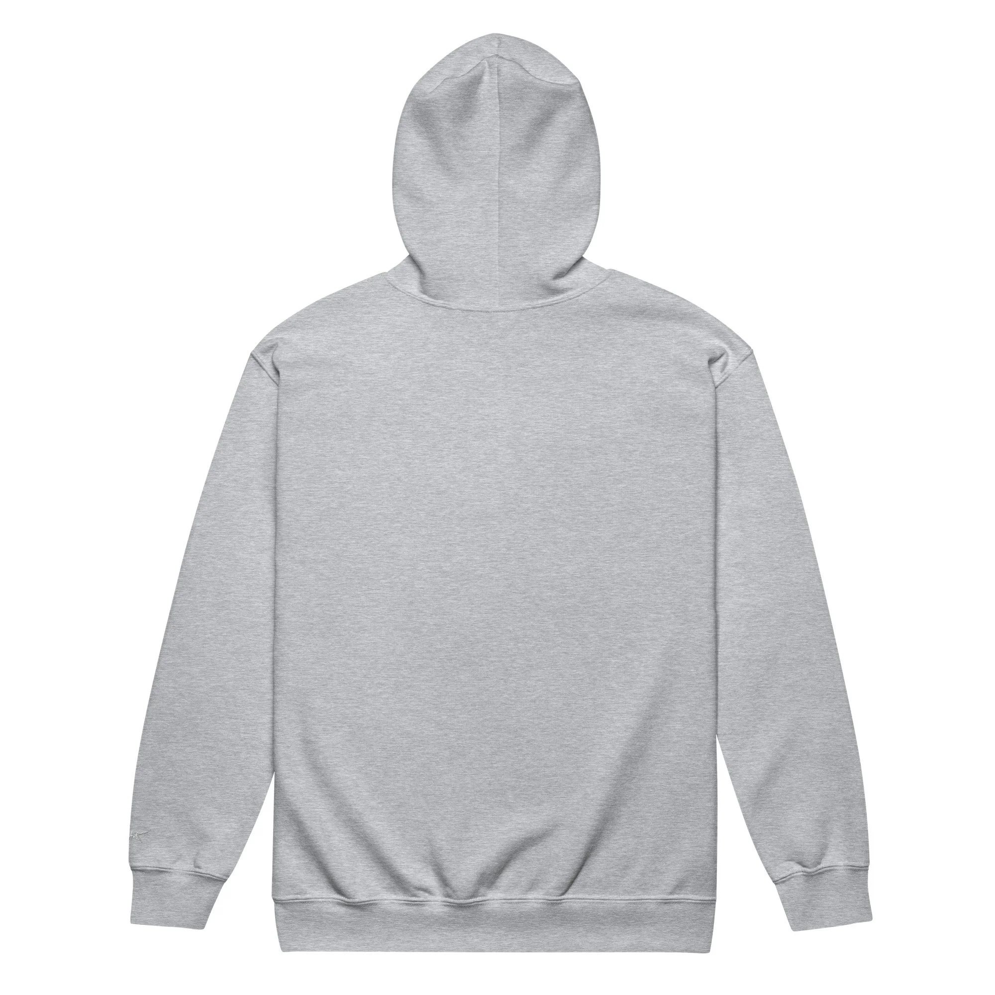 unisex-heavy-blend-zip-hoodie-sport-grey-back-68dc8b4479255.jpg