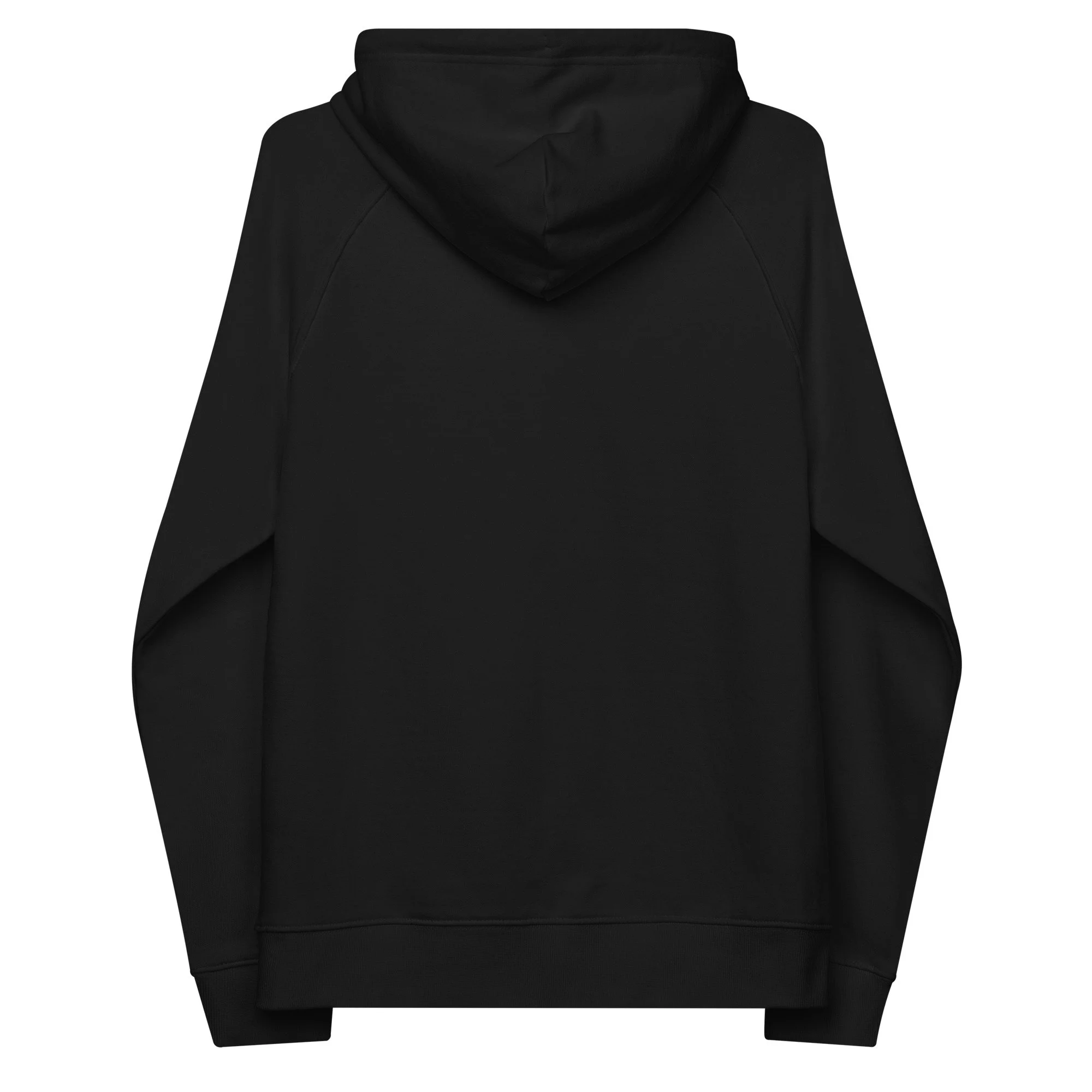 unisex-eco-raglan-hoodie-black-back-68dc8b8671a09.jpg