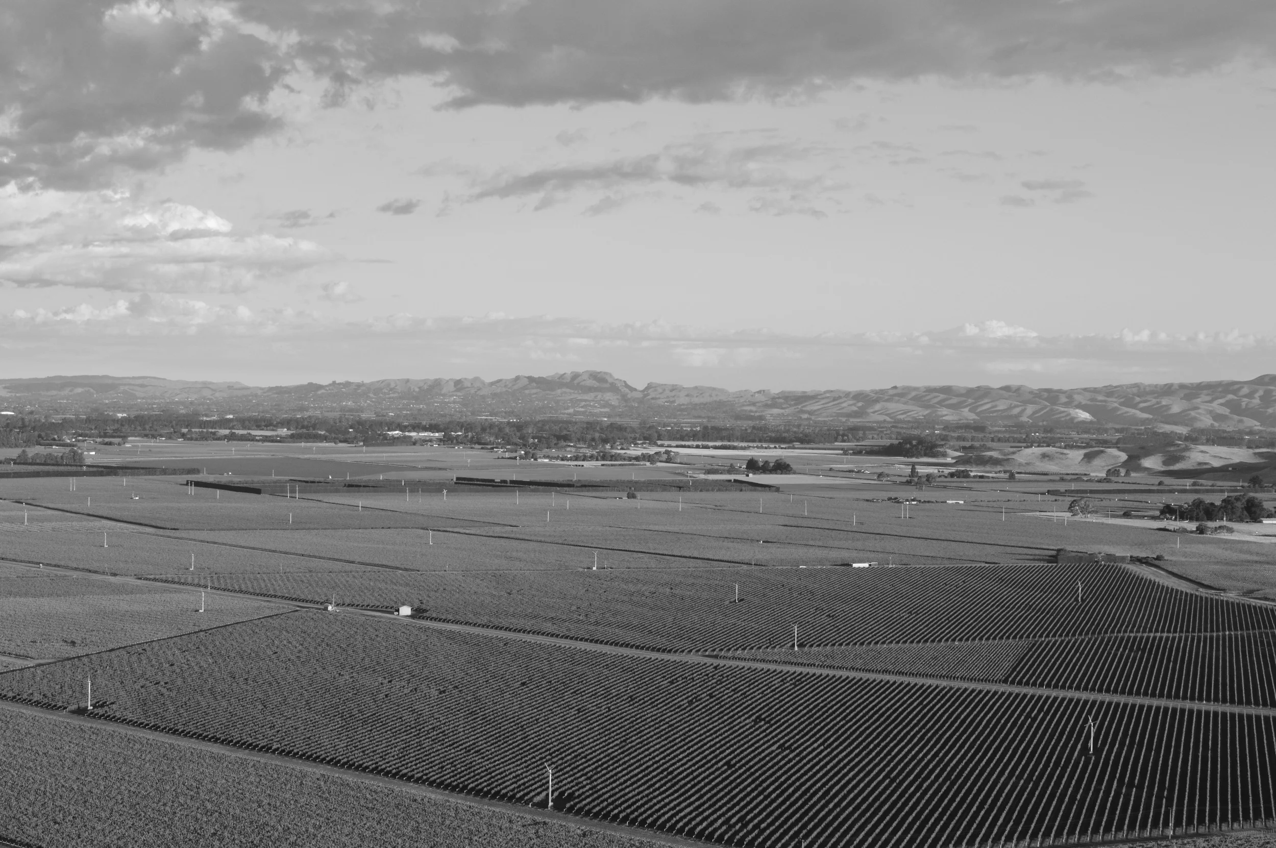 triangle overshot b n w.jpeg