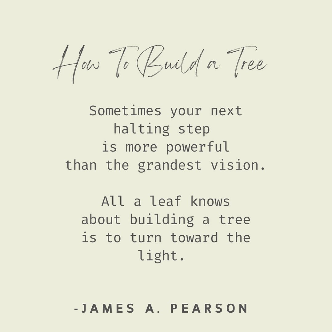Happy Arbor Day! 

Turn towards the light 
&amp; thank goodness for trees ❤️