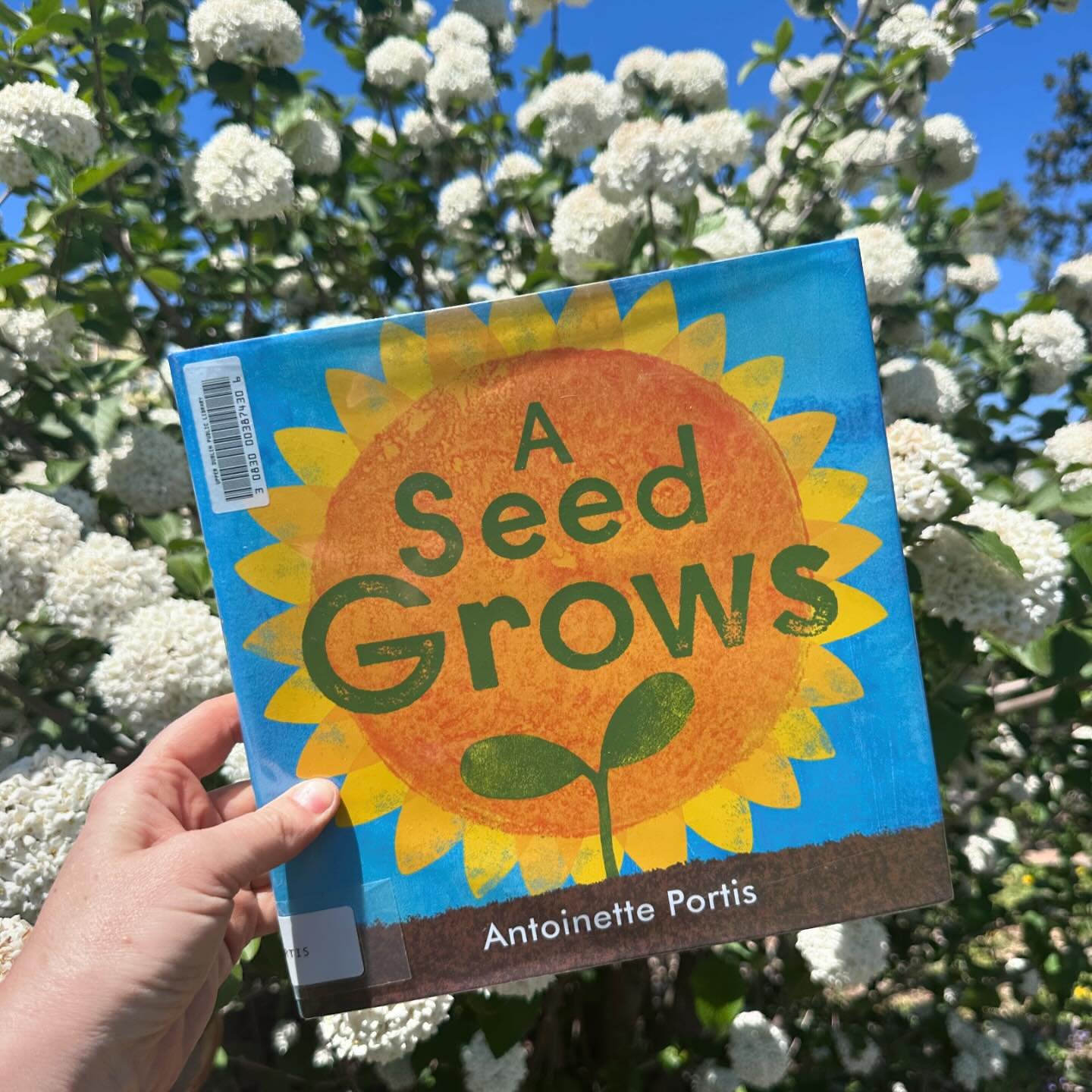 Flowers and bees 🐝 

I&rsquo;ve been exploring some new (to me) books to use in yoga classes around the theme of flowers and bees.

Lots of buzzy bee breath (Brahmari Pranayama), Lotus Mudra, Seeds, Sprout, and Flower Pose 🌱 

During an outdoor cla