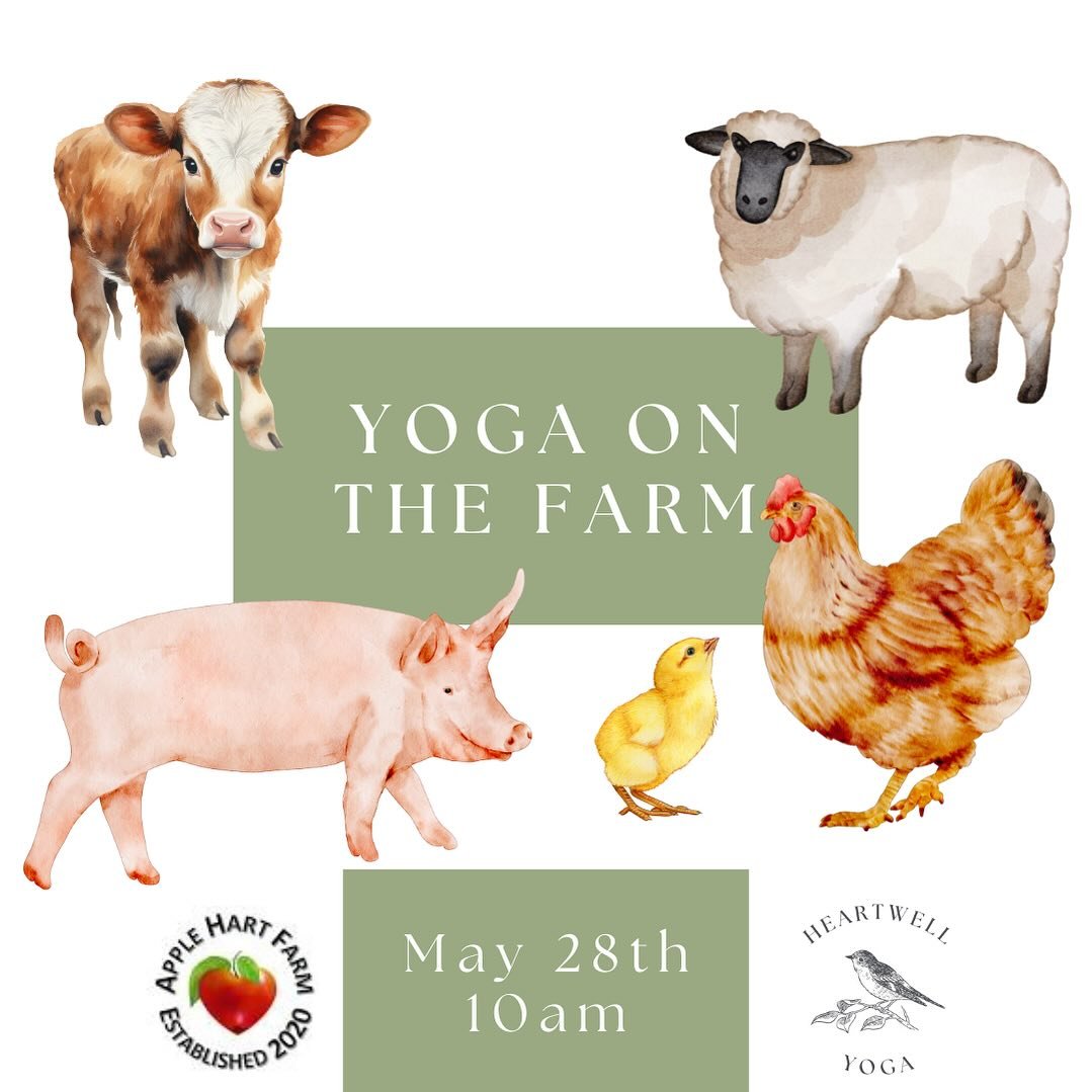 Heartwell Yoga visits Apple Hart Farm!

Join me for Farm Yoga on Thursday, May 28th at 10am. This class is best for ages 2-6 and a grownup 😊

Apple Hart Farm, in Hopewell Townshio, NJ, cultivates farm-based educational experiences that connect child