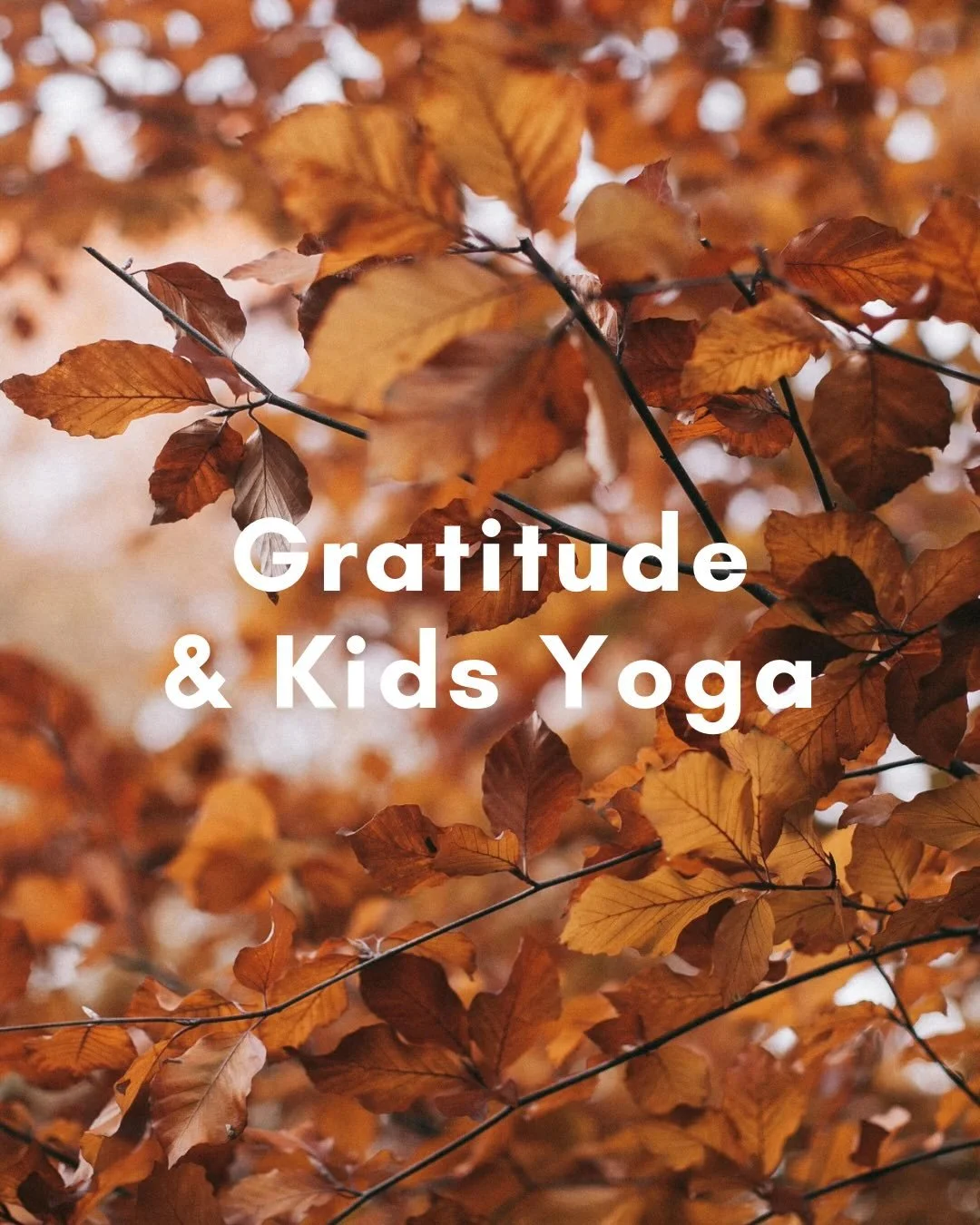 &ldquo;What are you grateful for?&rdquo;

I love posing this question to kids AND there are skills that we need to help kids build to answer this question authentically. 

This is where the Yoga comes in 😊