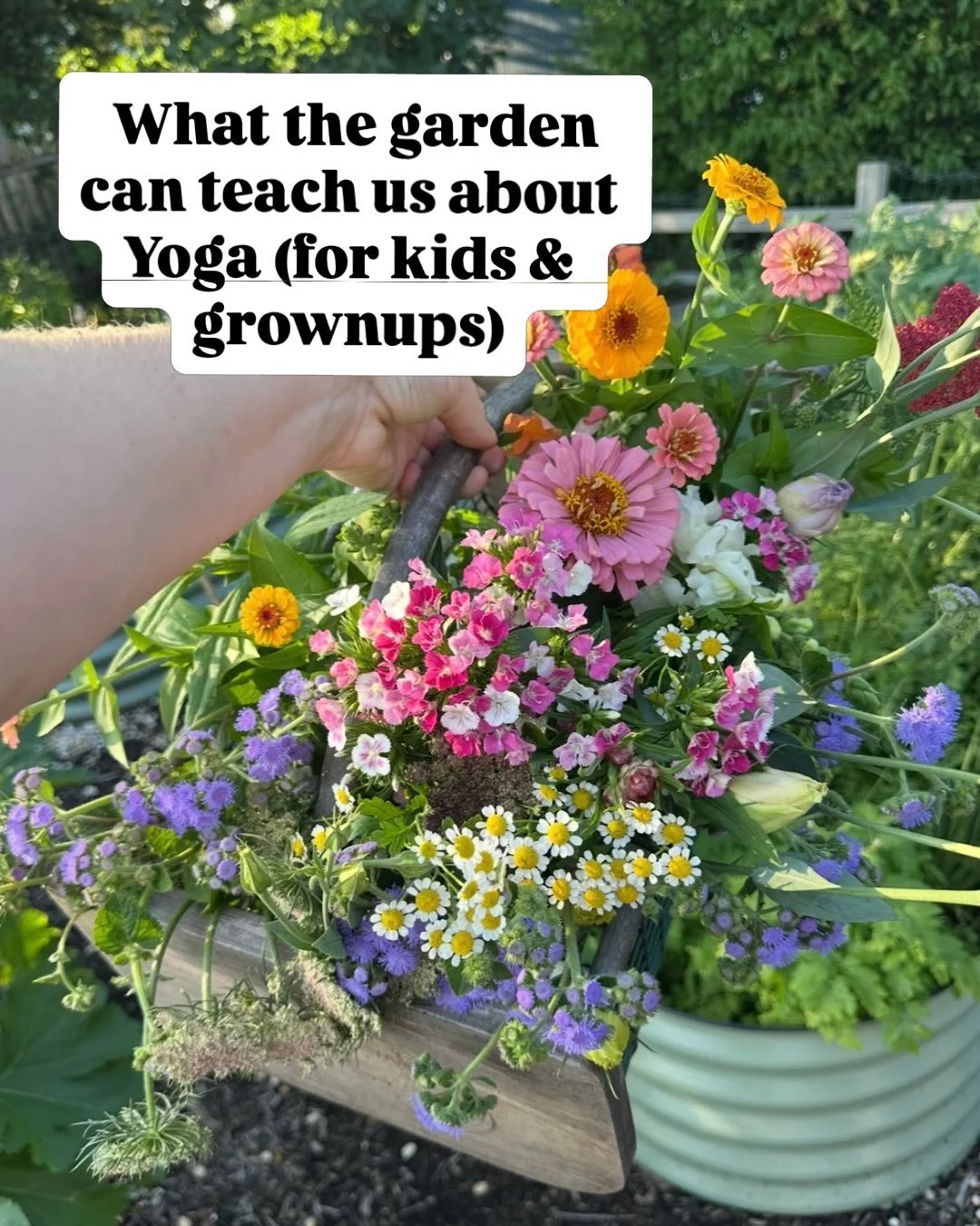 Some musings from a season in the garden 🌱 

A reminder that the lessons come when they will. 

Yoga is one vehicle, out of many. 

Art, time in nature, playing a sport or an instrument, there are so many ways to deepen our understanding of who we a