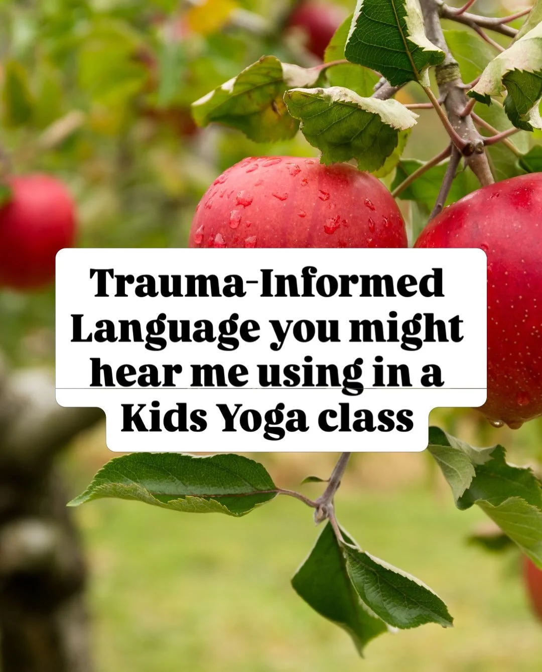 We spend a lot of time at the beginning of the year setting a strong foundation for classes for the rest of the school year. We practice routines, guidelines for yoga time, and safety.

From the very beginning, I let kids know that they are in charge