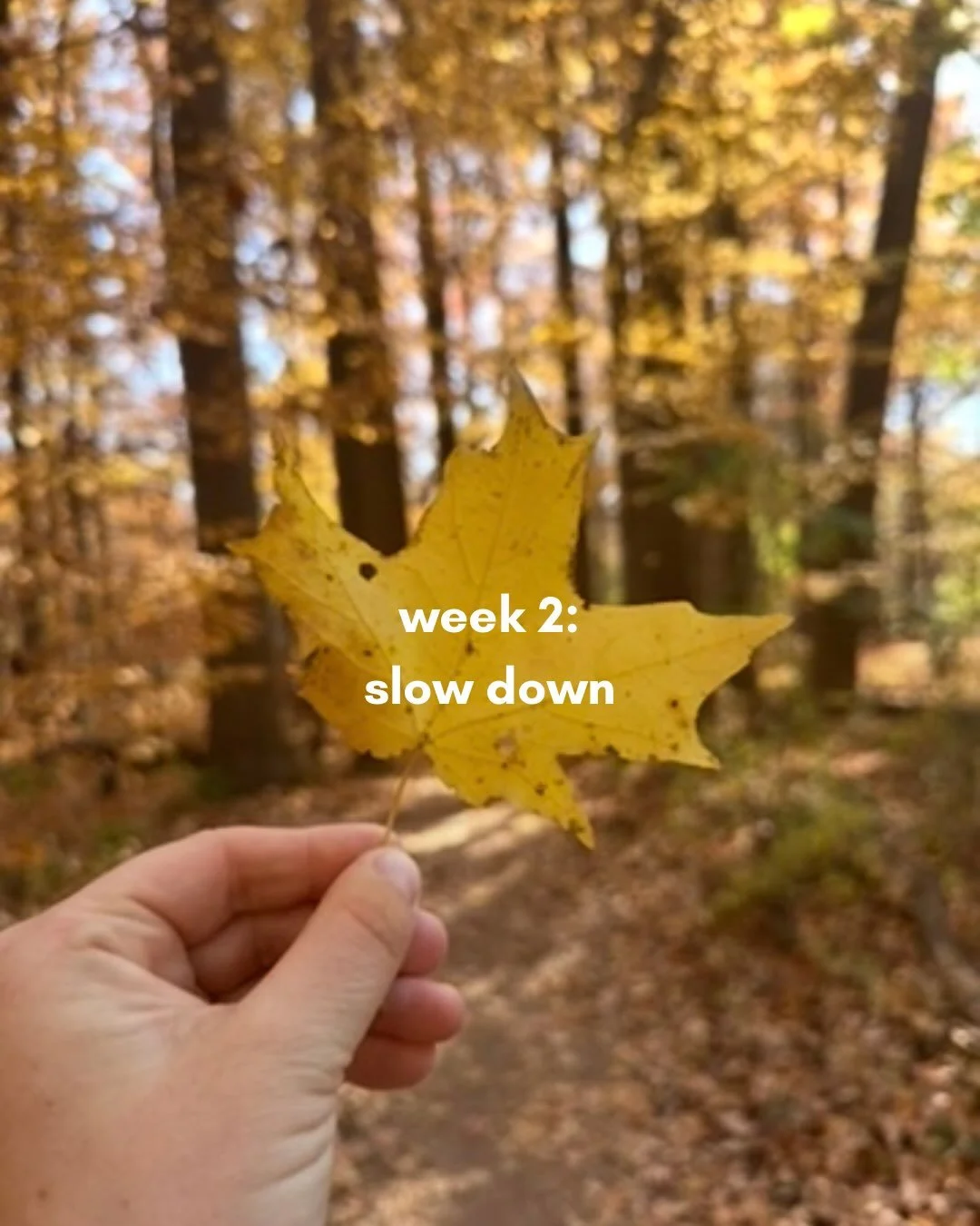 My intention for week two of this autumn &ldquo;be where you are&rdquo; exploration is to move slowly enough that I can notice where I am. Presence isn&rsquo;t always something we have to think our way into. Many times, we can begin with the body. 

