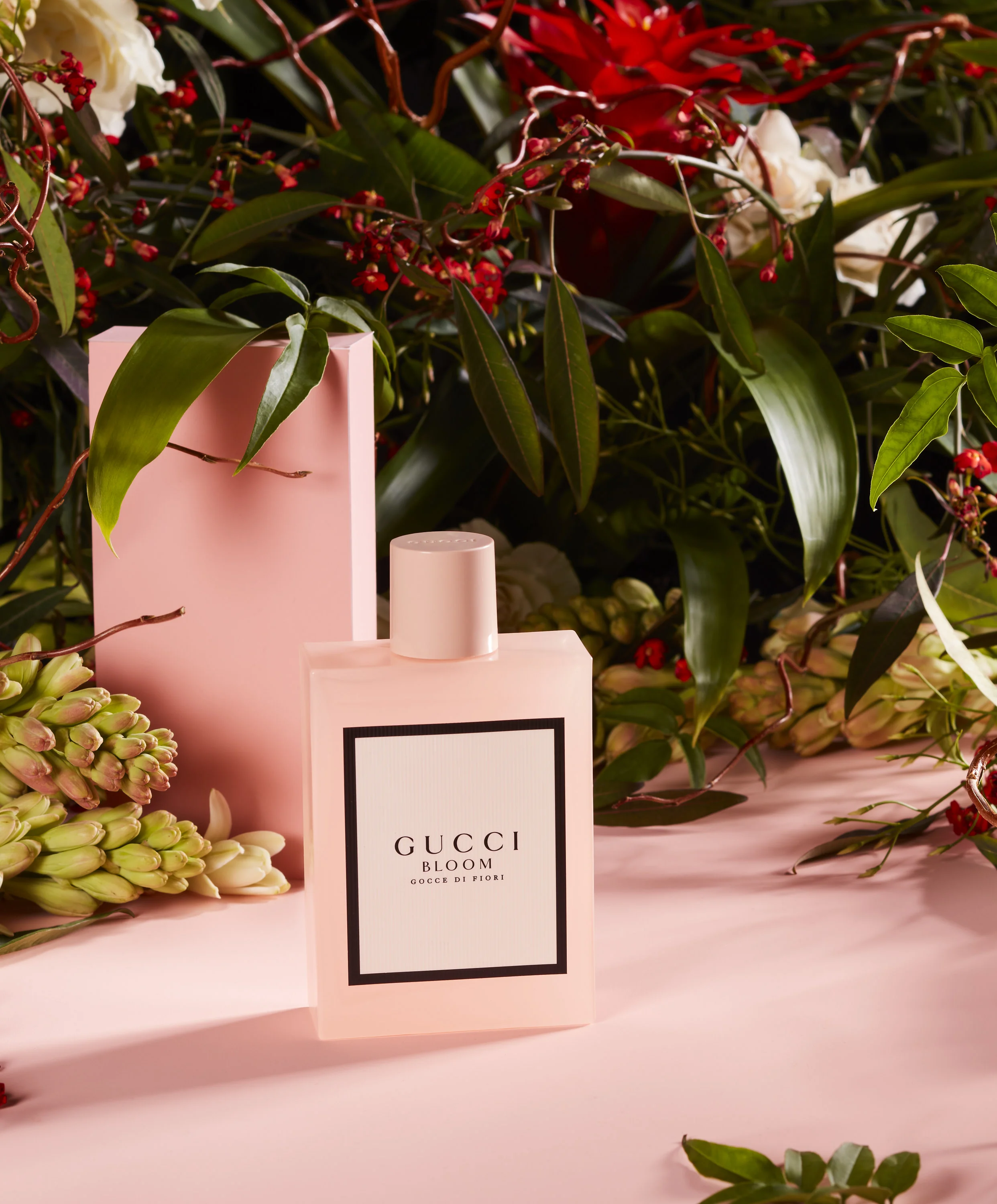 Gucci.jpg