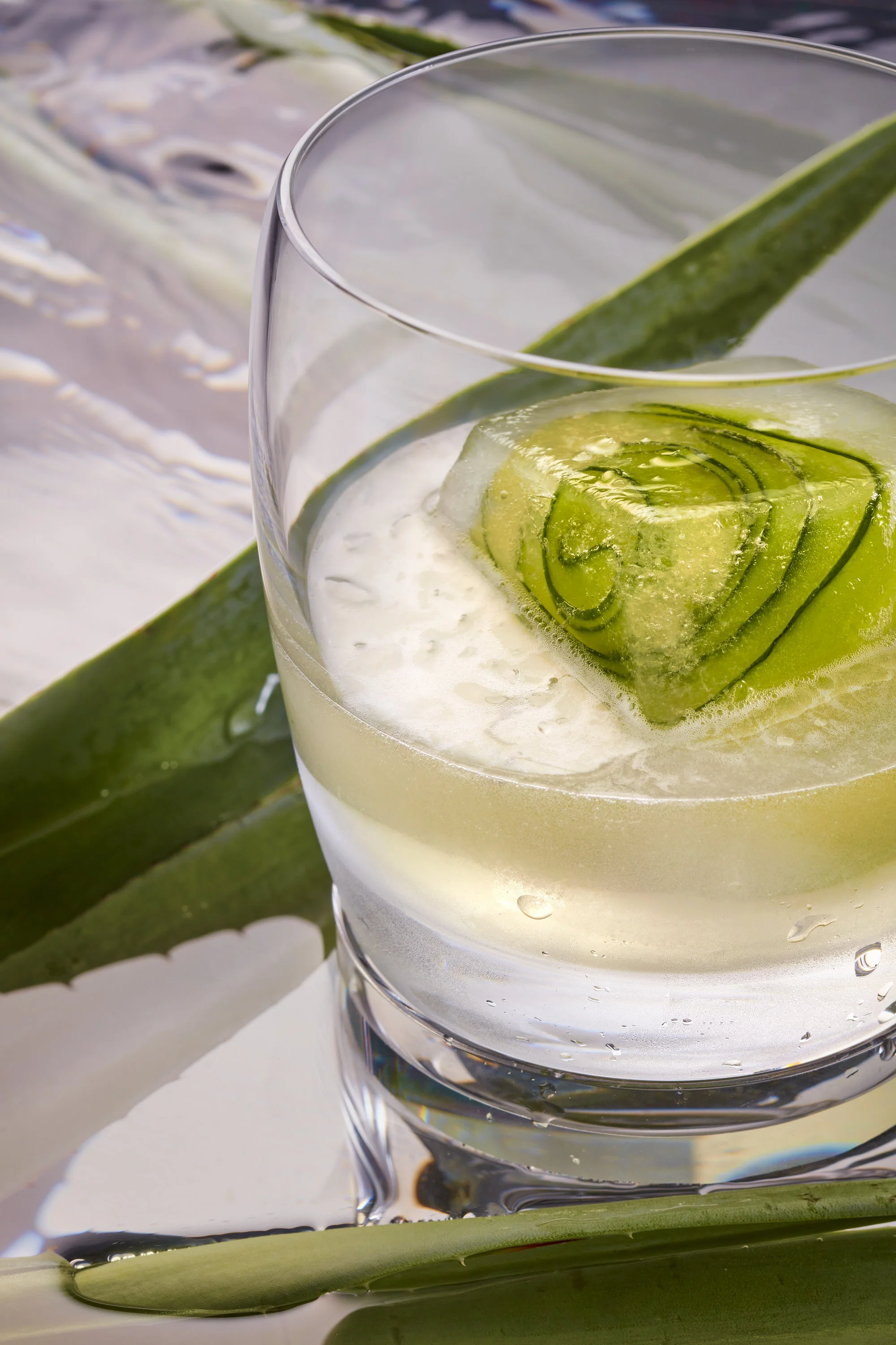 JOVEN_MARTINI_COCKTAIL.jpg