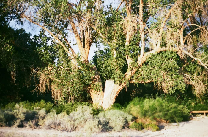gaby j photography 8