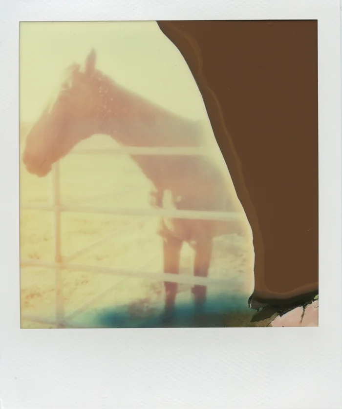 polaroid bride gaby j 2