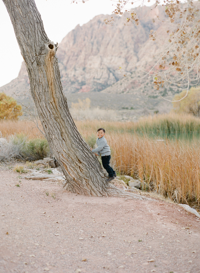 Gaby J Photography Spring Mountain ranch family_04 sml