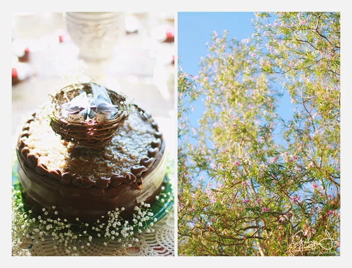 DIY las vegas backyard wedding Gaby J Photography_058