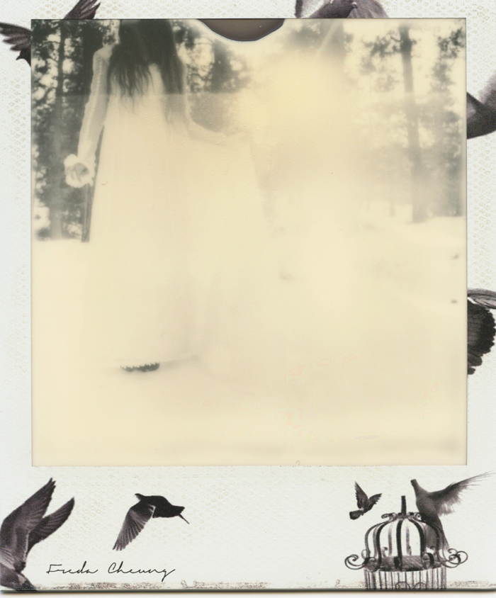 polaroid 1 sml