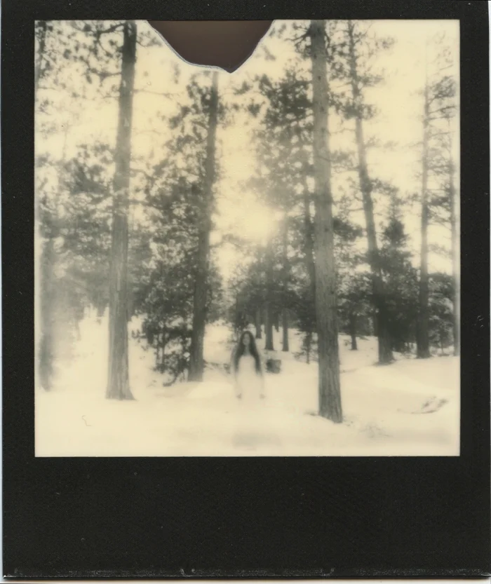 polaroid 7 sml