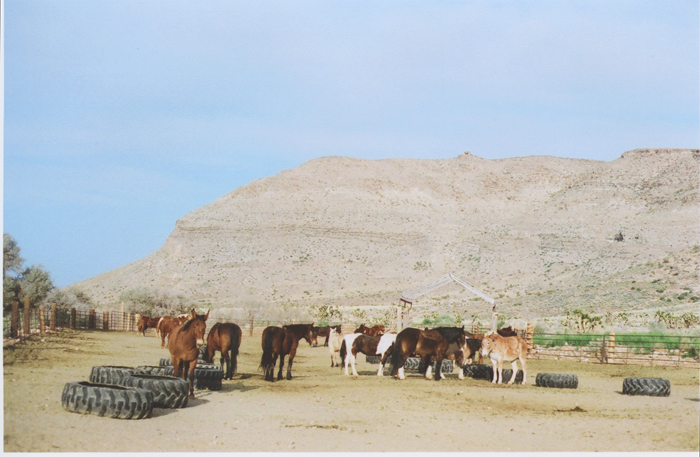 exploring the nevada desert gaby j photography_01