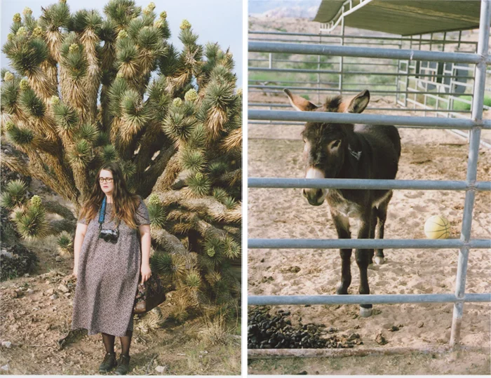 exploring the nevada desert gaby j photography_02