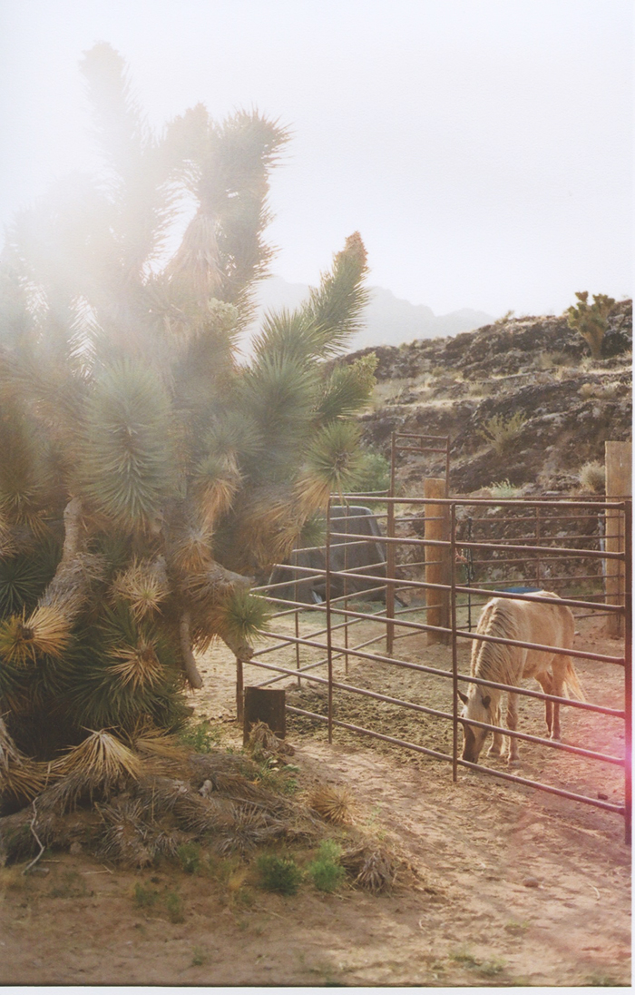 exploring the nevada desert gaby j photography_07