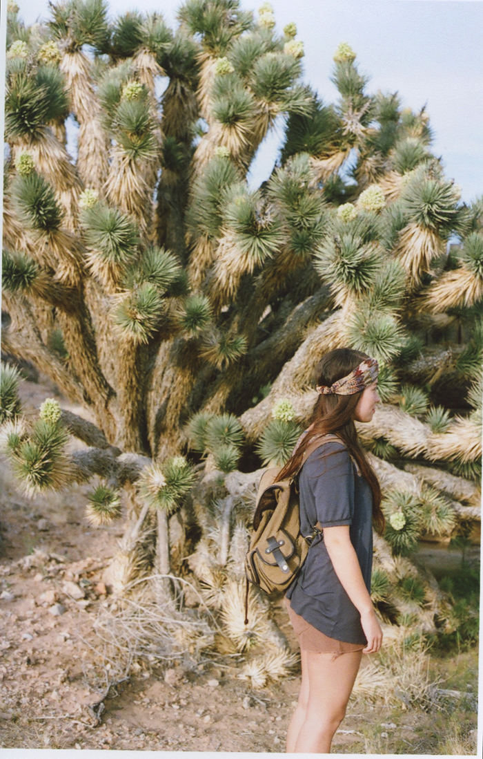 exploring the nevada desert gaby j photography_09