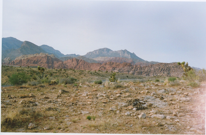 exploring the nevada desert gaby j photography_12