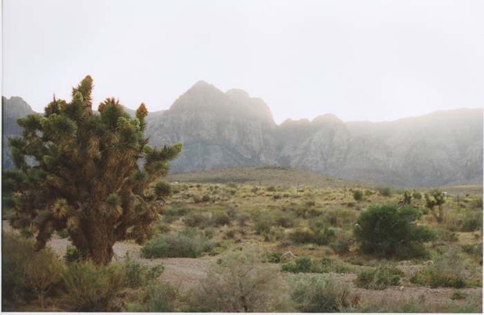 exploring the nevada desert gaby j photography_14