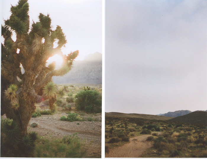 exploring the nevada desert gaby j photography_15