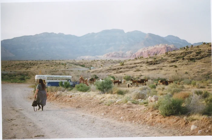 exploring the nevada desert gaby j photography_19