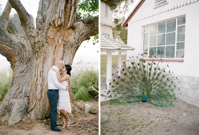 gaby j photography floyd lamb engagement photographer 15