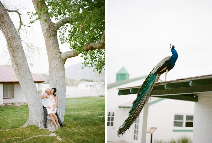 gaby j photography floyd lamb engagement photographer 24