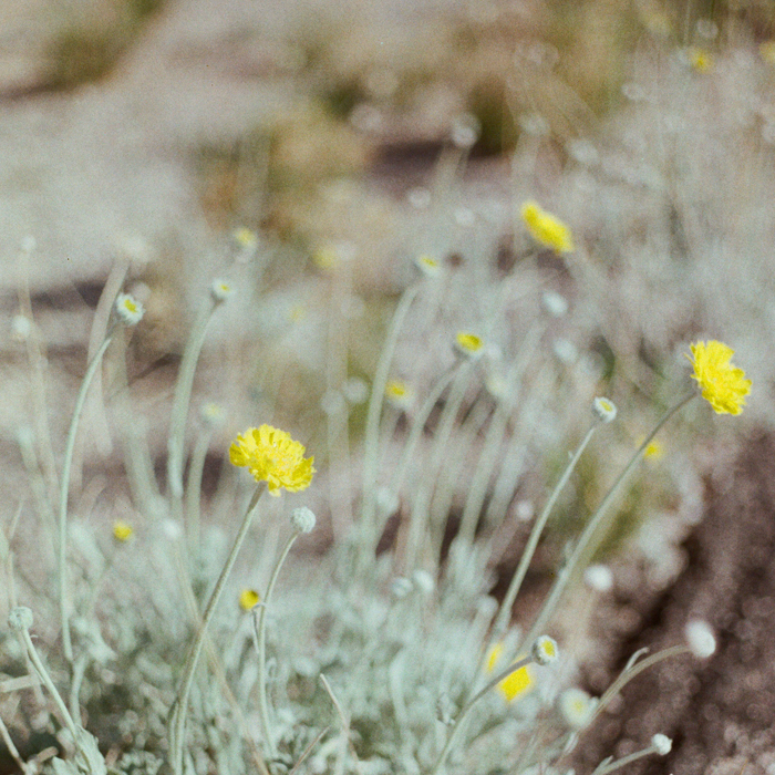 gaby j photography valley of fire15