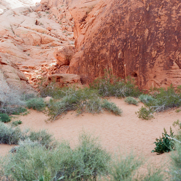 gaby j photography valley of fire23