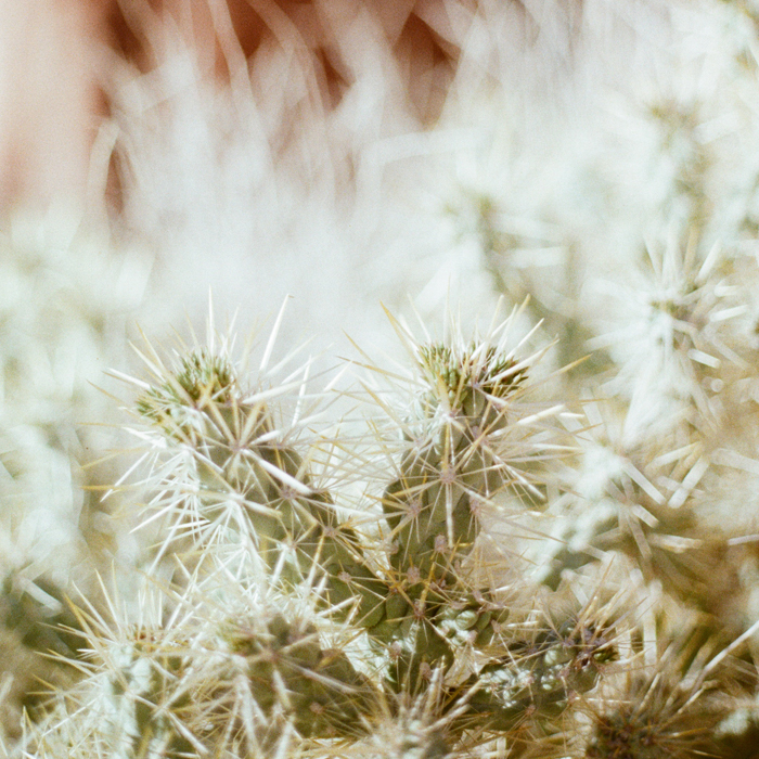 gaby j photography valley of fire33