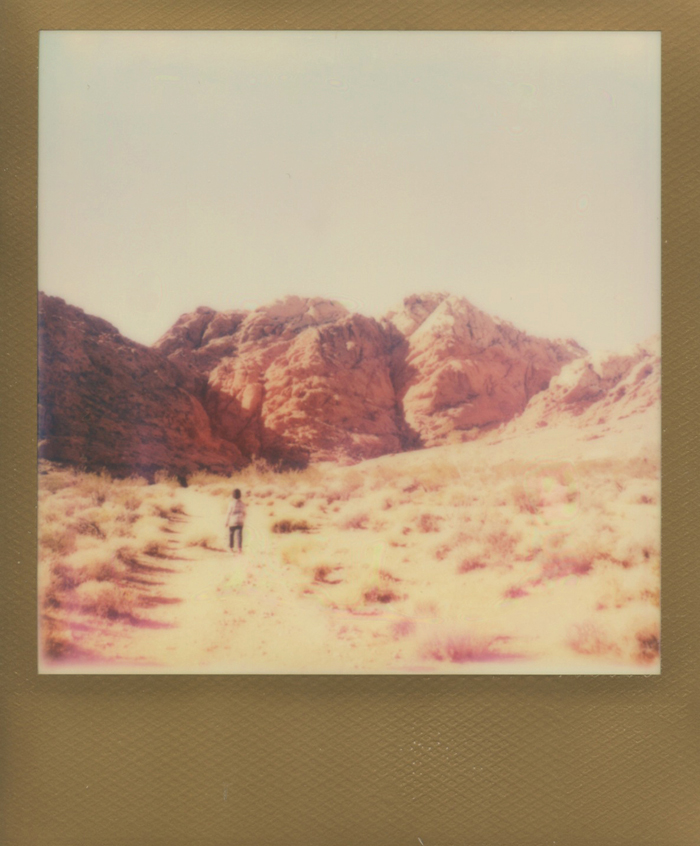 nevada desert life polaroid