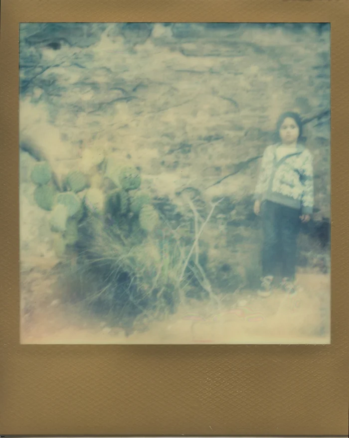 nevada desert life polaroid
