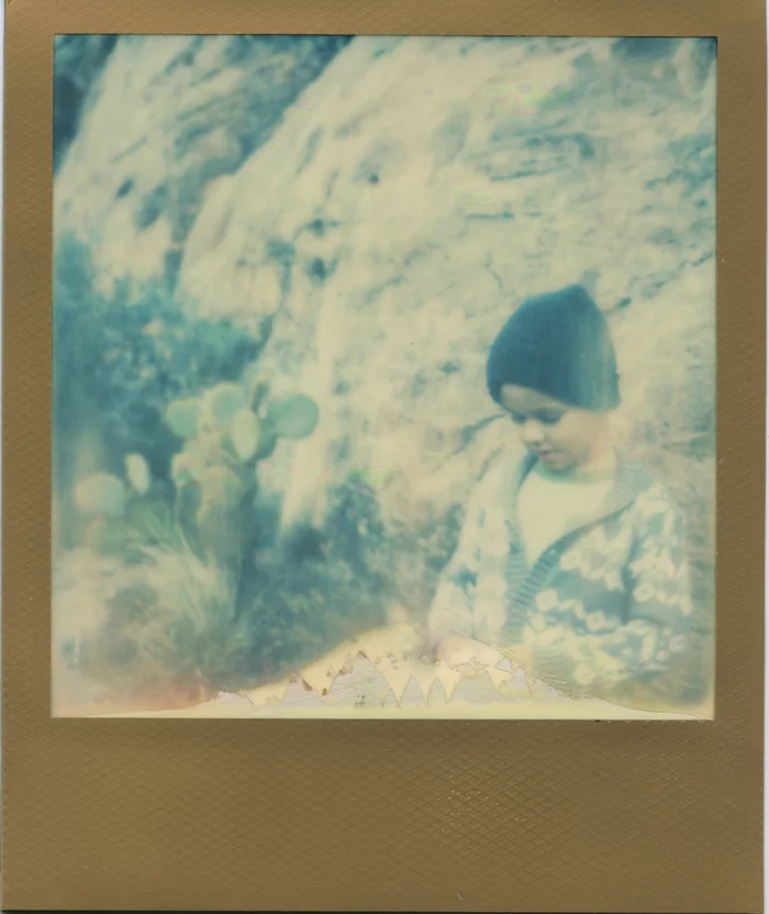 nevada desert life polaroid