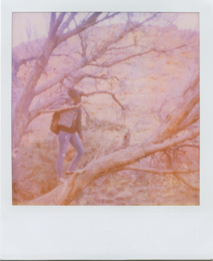 nevada desert life polaroid