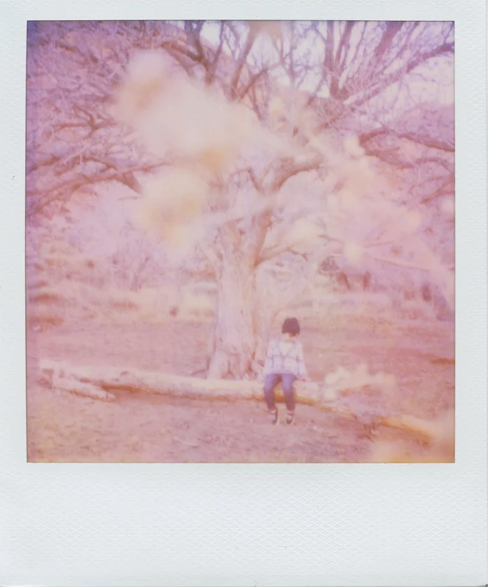 nevada desert life polaroid