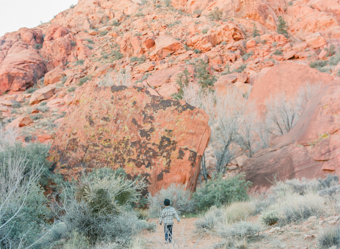 red rock state park desert life film 1