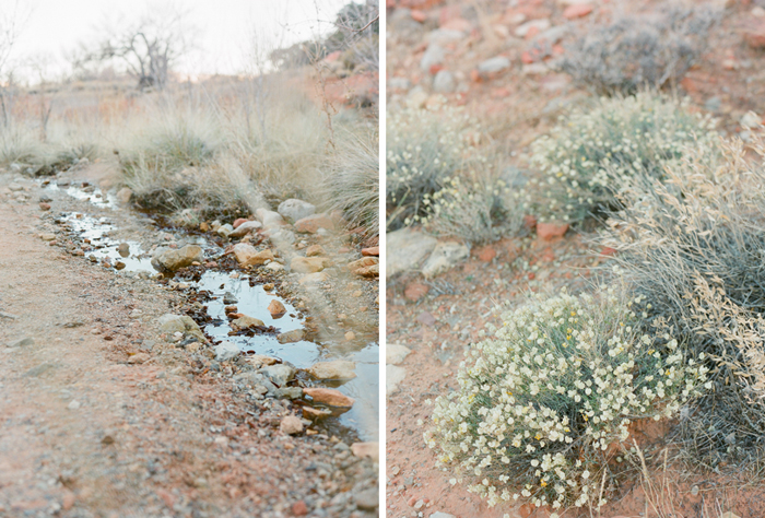 red rock state park desert life film 3